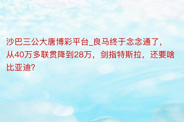 沙巴三公大唐博彩平台_良马终于念念通了，从40万多联贯降到28万，剑指特斯拉，还要啥比亚迪？